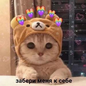 UltraRIP
